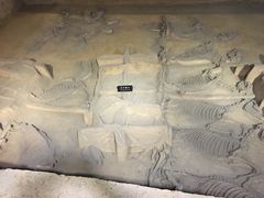 -洛阳周王城天子驾六博物馆