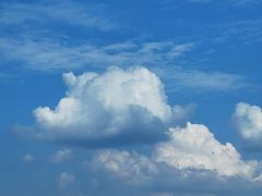 -温江公平红烧兔(总店)