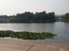 -新江湾城公园