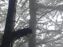 -崂山巨峰游览区