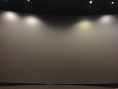 -金逸影城(影视中心IMAX店)