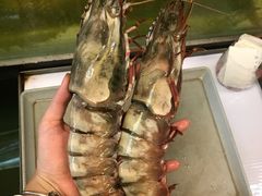 -ZF Seafood Restaurant 卓峰海鲜餐