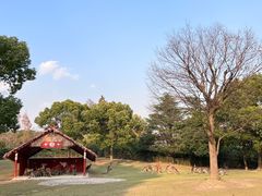 -上海野生动物园