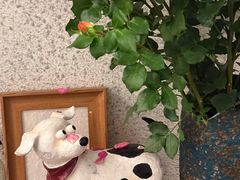 -绿房子方寸咖啡(星海名城店)