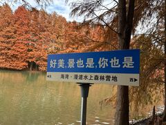 -上海海湾国家森林公园