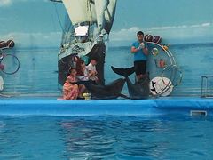-尼莫海豚馆