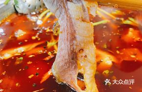 Cold Pot White Carp