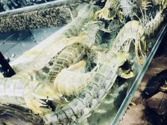 -鲤鱼门海鲜街