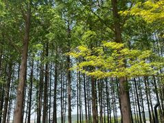 -云龙湖旅游景区