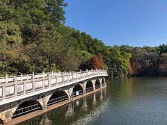 -深圳仙湖植物园