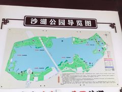 -沙湖公园
