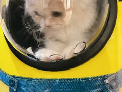 -达爱动物医院·犬猫分区·CT·复杂眼科(远洋山水分院)