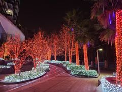 -棕榈MALL