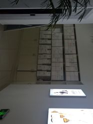 -痘敏医生专业祛痘·肌肤修复连锁