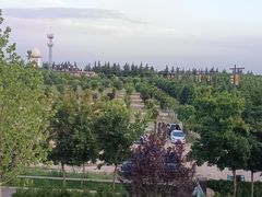 -中华郡文化旅游景区