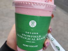 -茉酸奶(春熙路店)