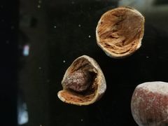 -王老头炒货(天坛东路店)