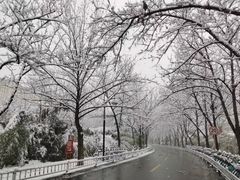 -洛阳市隋唐城遗址植物园