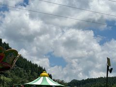 -武陵山森林公园