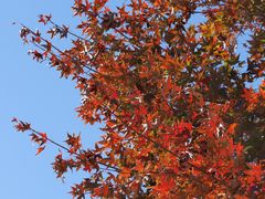 -北京西山国家森林公园