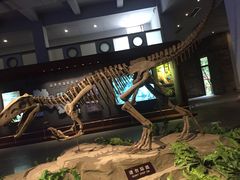 -自贡恐龙博物馆