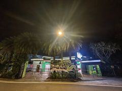 -圣淘沙天际线斜坡滑车