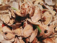 -船歌·鱼水饺青岛菜(黄岛珠江路店)