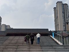 -张坝桂圆林公园