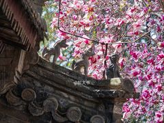 -潭柘寺景区