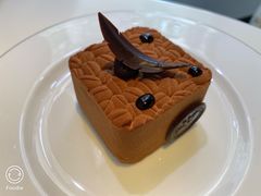 -BLACKSWAN黑天鹅(环球店)