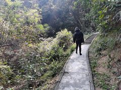 -火炉山森林公园