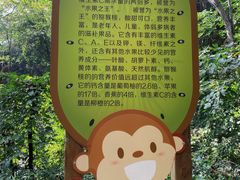 -大岭沟猕猴桃谷风景区