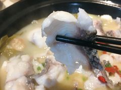 -新悦·霞浦海鲜生(上下杭店)