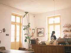 -春风十里咖啡馆