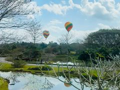-中国科学院西双版纳热带植物园