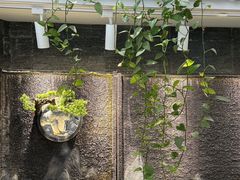 -皓粤臻品荟·地道广东菜