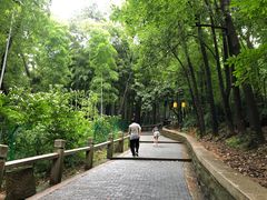 -灵岩山风景区