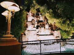 -拉斯维加斯永利酒店