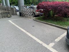 -上海中医药大学附属曙光医院(东部)