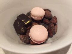 -蝶舍·MAISON PAPILLON