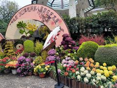 -杭州植物园