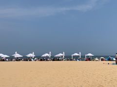 -日照海滨国家森林公园