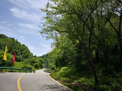 -大水川景区