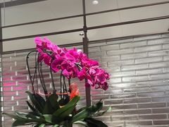 -海底捞火锅(高科广场店)