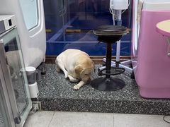 -FAELING PETS美天灵宠物(富力广场店)