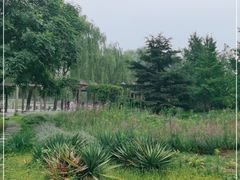 -望湖公园