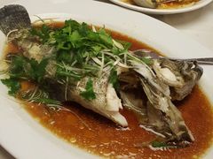 -钓鱼翁烧鹅·海鲜饭店(观塘店)