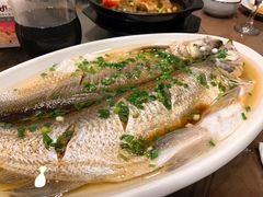 -呼吸森林·生态农庄农家乐私房菜