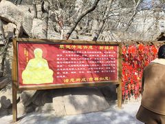 -石岛赤山风景区