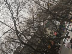 -新疆大盘鸡·十八年老店